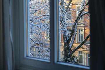 Snow covered winter trees through the window cozy scene