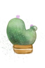 Adorable blooming cactus in a pot watercolour illustration