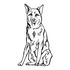 German Shepherd. Drawing with black lines, marker, line art. Vector illustration