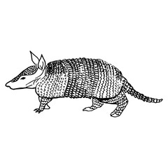 Battleship. Side view. Drawing with black lines, marker, line art. Vector illustration