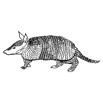 recommend clip art: Battleship. Side view. Drawing with black lines, marker, line art. Vector illustration