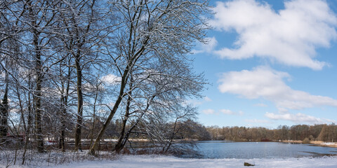 Winter am See mit schneebedeckten B&auml;umen und blauem Himmel