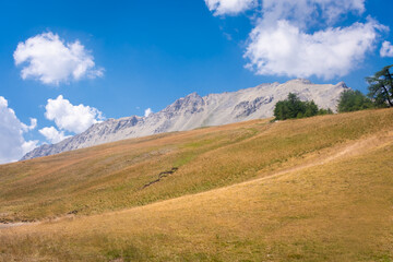 Fototapeta na wymiar Beautiful landscape with the mountains of the vallée Étroite (french for 