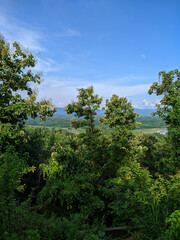 Trees and clouds above the hill.
