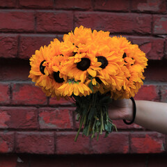 Hand Holding Bright Yellow Sunflowers On Red Brick Rustic Background