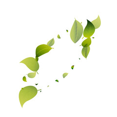 Green Greens Nature White Vector Background