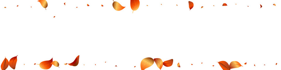 Forest Leaves Organic Vector White Panoramic