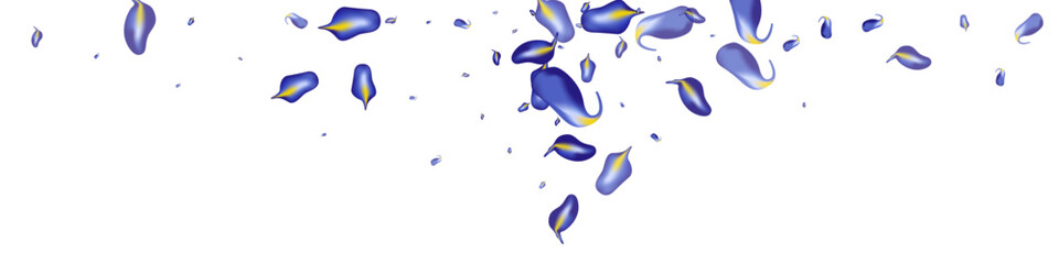 Forest Leaf Forest Vector White Panoramic