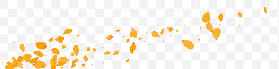 Delicate Peony Blur Vector Transparent Panoramic