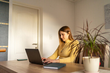 Fototapeta na wymiar Businesswoman working on laptop