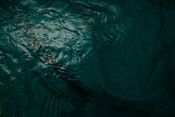 A dark green fabric with folds lies underwater with waves and splashes. Image for your creative design or stylish illustrations.