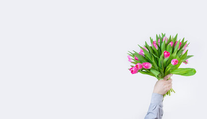 bouquet of tulips in hand isolated on white background. Banner. Space for text