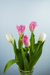 Fototapeta premium Bouquet of delicate tulips on a light background background.