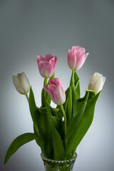 Bouquet of delicate tulips on a light background background.