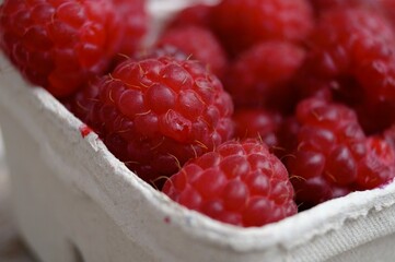 Himbeeren in Schale 