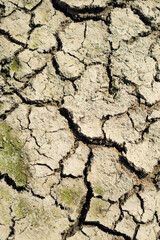 dry cracked soil