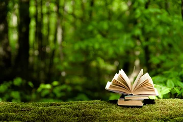 Abwaschbare Fototapete Feenwald Old books lying on green moss in forest with trees in background. Open book with paper pages. Concept of knowledge, wisdom, fairy tales 