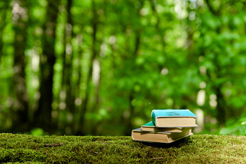 Old books lying on green moss in forest with trees in background. Books with old paper pages....