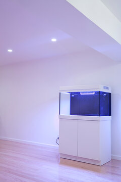 New fish tank in a new apartment