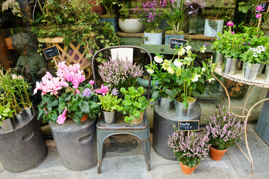 Outside of French flowers shop. Springtime. Paris, France.