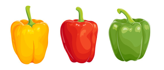 Three colored sweet peppers, a juicy healthy vegetable with a tail. Illustration isolated on white background.