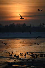 sunset over the river