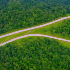 2 roads in the forest [IA Generativa]