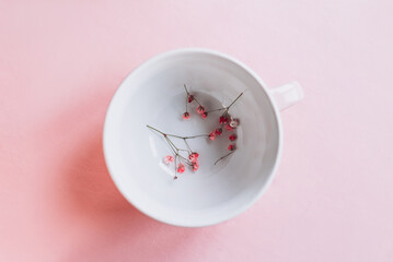 Creative composition of big cup with dry flowers on pink background. Flat lay.