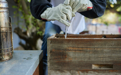 Beekeeper, hive tool and opening box, crate and storage to remove frame for honeycomb production...
