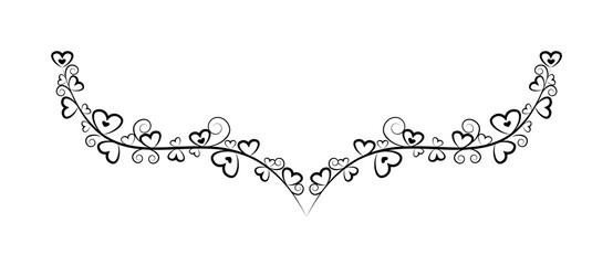 Decorative floral Ornament for text on white background