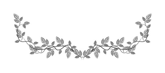 Decorative floral Ornament for text on white background