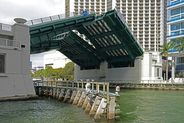 Brickell Avenue Bridge, bascule bridge over Miami River on winter sunny day. Downtown Miami, Florida