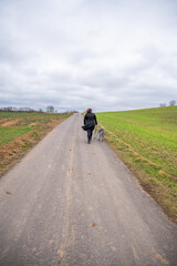 Obraz premium Woman with brown curly hair and black jacket walking her akita inu dog with gray fur on an agricultural path during cloudy day, vertical shot, view from the distance