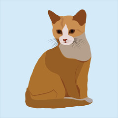 Illustration of a beautiful and cute siting cats