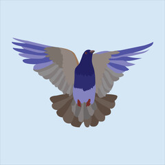 Vector artwork of a beautiful flying Pigeon birds