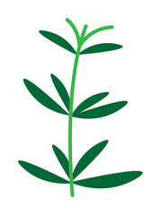 Fototapeta premium Herb icon. Element of herb icon for mobile concept and web apps. Detailed Herb icon can be used for web and mobile on white background