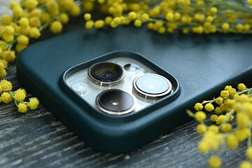 iPhone mobile phone camera on a background of yellow mimosa flowers. concept of business woman, romance, spring still life