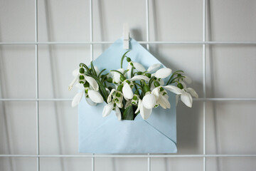 The snowdrops in a blue envelope