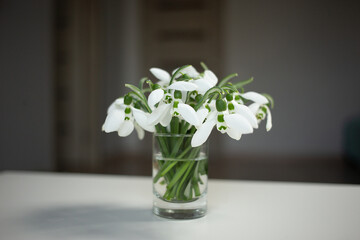 Snowdrops in a vase on the table