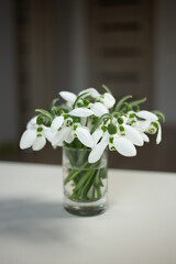 Snowdrops in a vase on the table