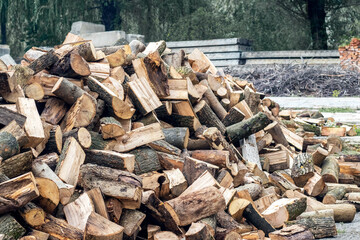 Firewood in the yard of the farm