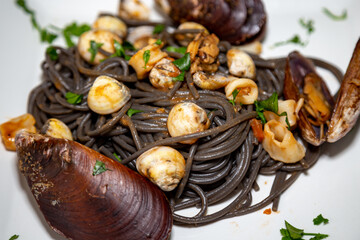 Black spaghetti with sepia squid ink with seafood, clams and shells
