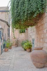 Fototapeta na wymiar Potted plants on the streets near old house in Yemin Moshe district, Jerusalem, Israel