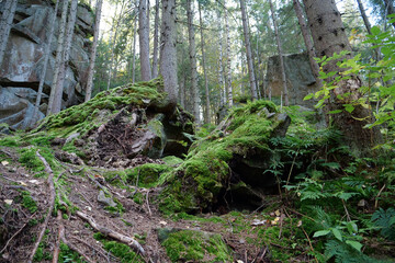 Dovbush Rocks in the forest near Yaremche city, Ukraine