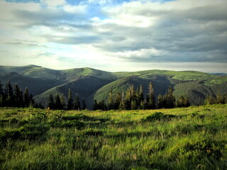 Evening in the mountains