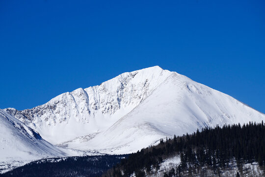 Mt. Guyot