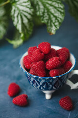 Blue Bowl of Fresh Raspberries on a Blue Table with Plant in Background