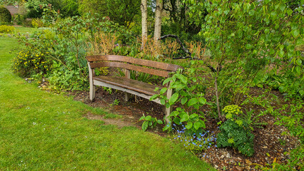 Fototapeta na wymiar Bench in a lush green garden