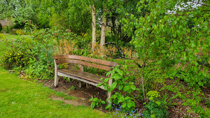 Fototapeta na wymiar Bench in a lush green garden