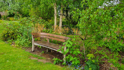 Bench in a lush green garden